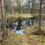 Hoelmoelae * Salo (Salo)