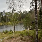 Hoelmoelae
